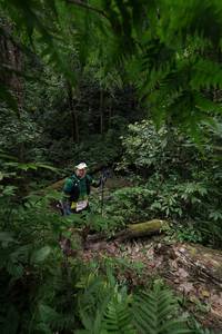 BIB: 505, 5138
                            <button type="button" onclick="openModal(16029640)" class="btn btn-primary btn-sm float-right btn-popup" data-toggle="modal" data-target=".modal-high-quality">
                        <i class="fas fa-shopping-cart"></i> Add to Cart
                    </button>
                                            <button type="button" onclick="isThisMe(16029640, true)" class="btn btn-success btn-sm float-right btn-popup btn-isme hidden" data-toggle="tooltip" data-placement="bottom" title="นี่คือรูปของคุณใช่ไหม คลิกที่นี่เพื่อเอาเข้าอัลบั้ม">
                        <i class="fas fa-plus"></i> Add to album
                    </button>
                    <button type="button" onclick="isThisMe(16029640, false)" class="btn btn-warning btn-sm float-right btn-popup btn-isnotme hidden">
                        <i class="fas fa-ban"></i> Remove from album
                    </button>